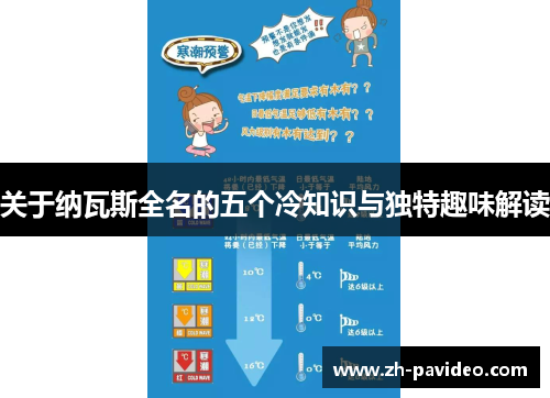 关于纳瓦斯全名的五个冷知识与独特趣味解读