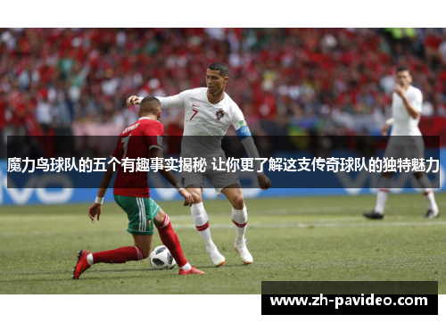 魔力鸟球队的五个有趣事实揭秘 让你更了解这支传奇球队的独特魅力